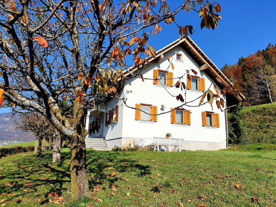 Villa House Pucnk-Beautiful Countryside à Zelezniki Extérieur photo