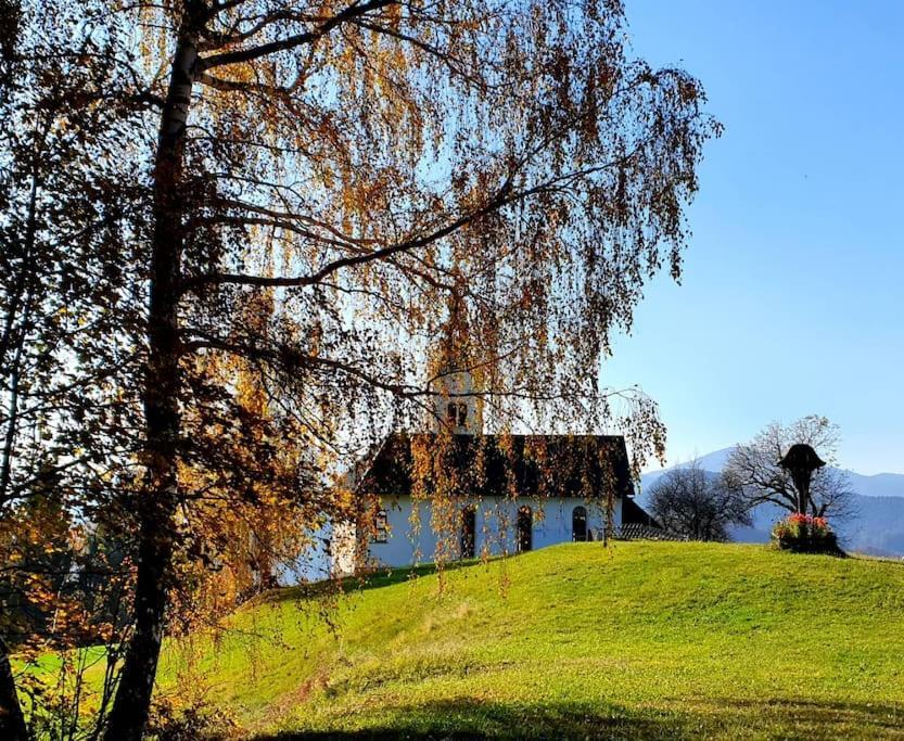 Villa House Pucnk-Beautiful Countryside à Zelezniki Extérieur photo